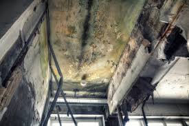 Best Air Quality Testing for Mold Spores  in Siloam Springs, AR